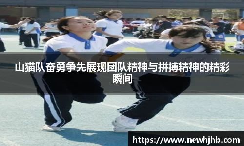 山猫队奋勇争先展现团队精神与拼搏精神的精彩瞬间