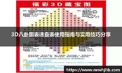 3D八卦图表速查表使用指南与实用技巧分享